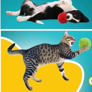 Automatisk rörlig rullboll för hund och katt med 4 överdrag